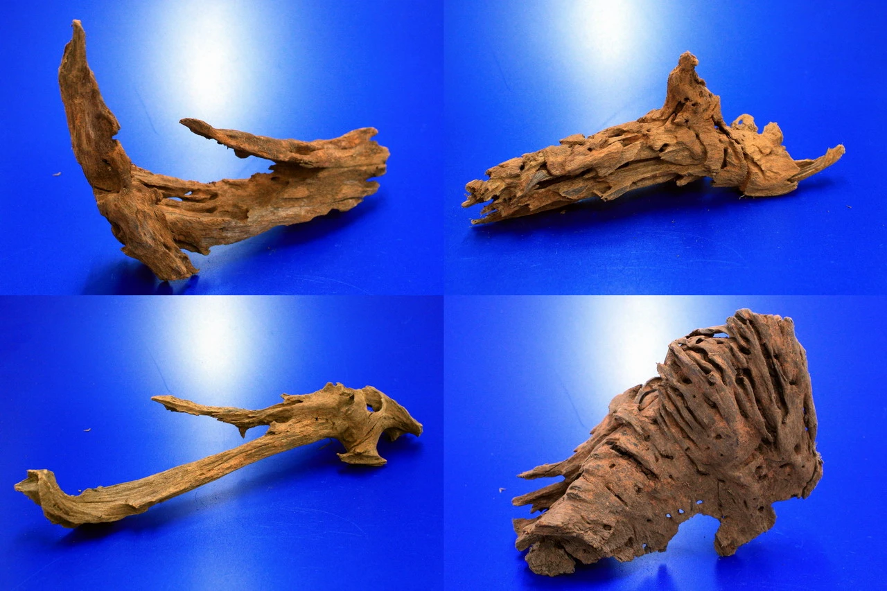 Mangroven-Wurzel Gr. S / 15 - 20 Cm Nano-Mangrovenholz