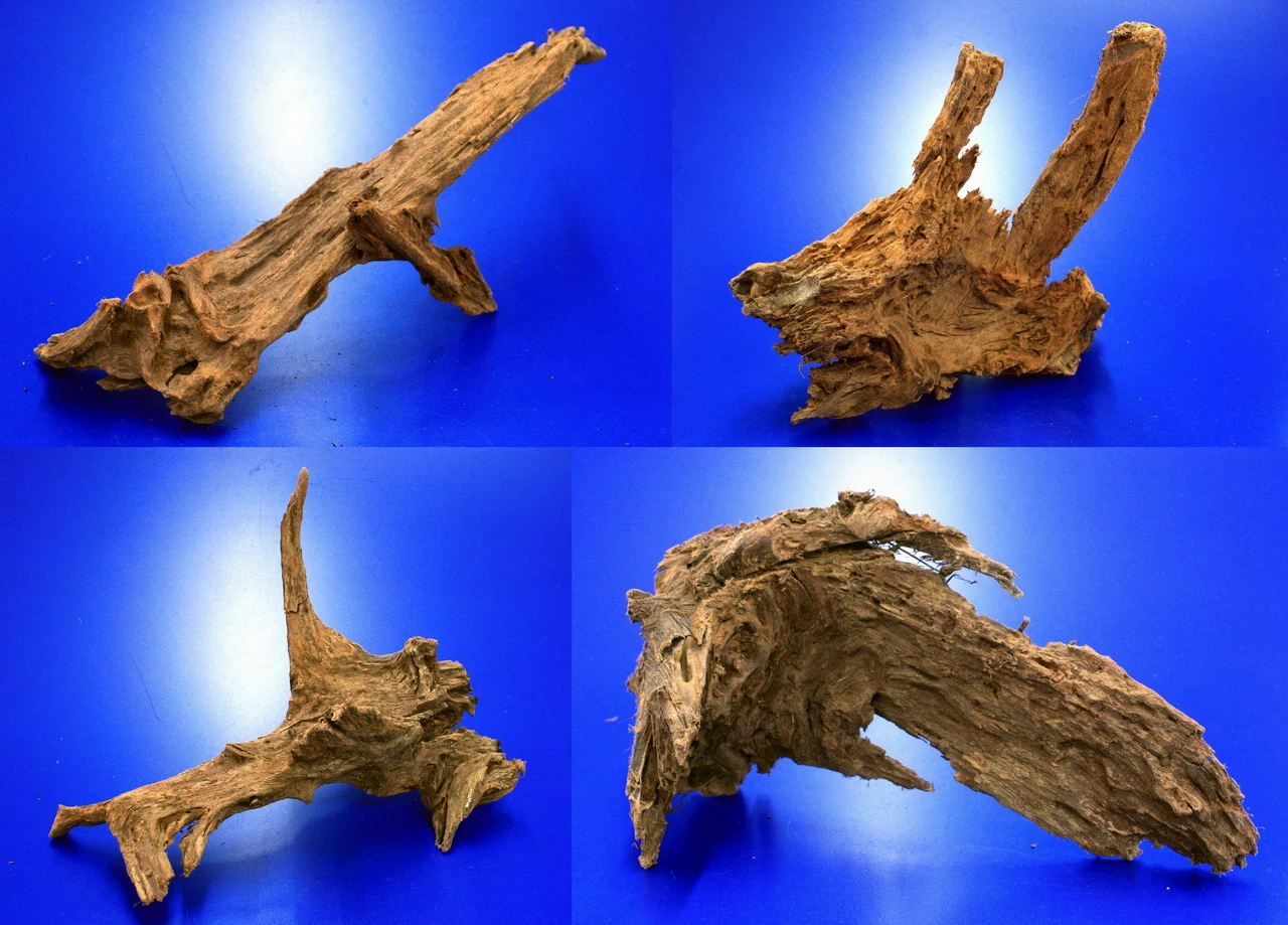 Mangroven-Wurzel Gr. XL / 40 - 50 Cm Mangrovenholz