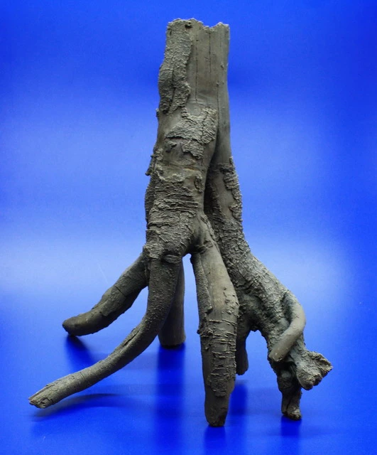 Hobby Detaillierte Stelz-Wurzel Nr. 2, 390x370x280mm Aus Dunklem Kunststoff – Bild 2