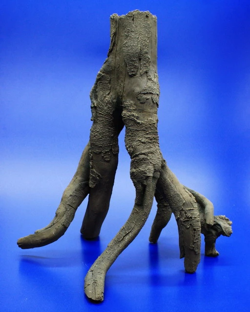 Hobby Detaillierte Stelz-Wurzel Nr. 2, 390x370x280mm Aus Dunklem Kunststoff – Bild 3