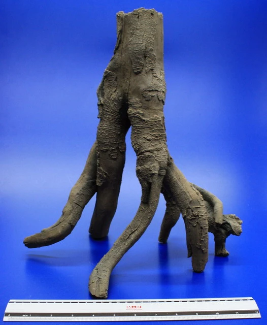 Hobby Detaillierte Stelz-Wurzel Nr. 2, 390x370x280mm Aus Dunklem Kunststoff – Bild 4