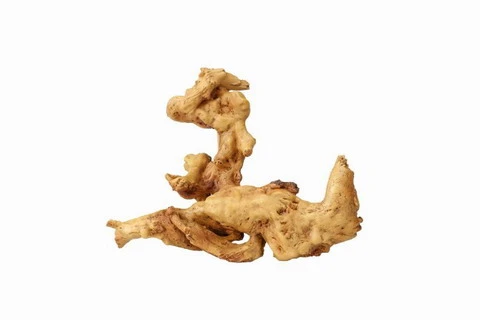 Aqua Della Coffee Root 2