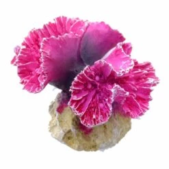 Violette Steinkoralle, Symphyllia Coral S, Klein Ca. 9,5 X 7,7 X 7 Cm