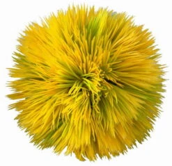 Plant Ball - Yellow - Ca. 11 X 11 X 11 Cm