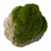 Moss Stone - S - Ca. 12 X 9,5 X 10,5 Cm - Mit Saugnapf