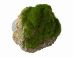 Moss Stone - S - Ca. 12 X 9,5 X 10,5 Cm - Mit Saugnapf