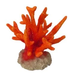 Orange Nadelkoralle, Seriatopora Koralle Ca. 8,5 X 8,5 X 9 Cm