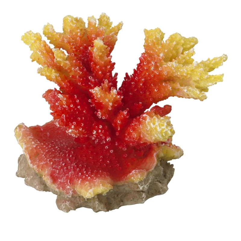 Orange Acropora Koralle, Steinkoralle Ca. 11,5 X 8,5 X 9,5 Cm