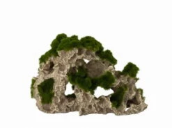 Moss Rock 3 - Ca. 25 X 9 X 17 Cm