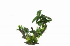 Flora Scape 2 - L - Ca. 28x15x23,5 Cm