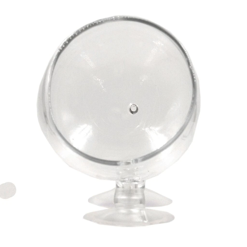 Pflanzenschale Aus Kristallklarem Glas – Bild 4