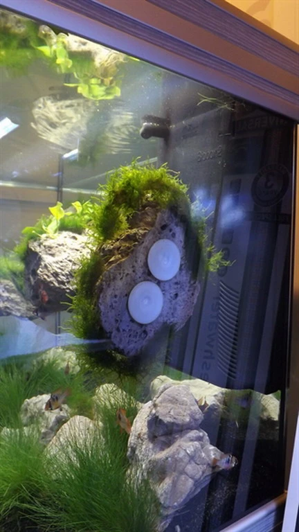 Rückwand Stein Größe: S / Wall Stone 10-17cm