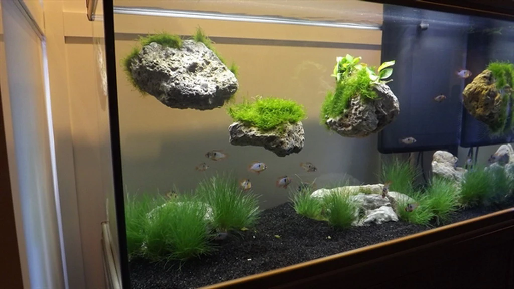 Rückwand Stein Größe: S / Wall Stone 10-17cm – Bild 2