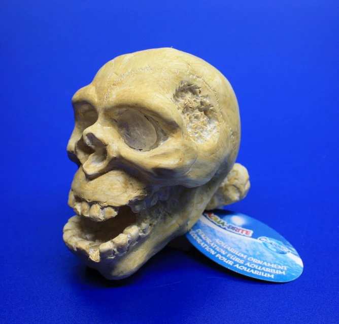 ARCADIA Totenkopf Weiß Mit Einsatz Für LED-Aquarienstrahler – Bild 2