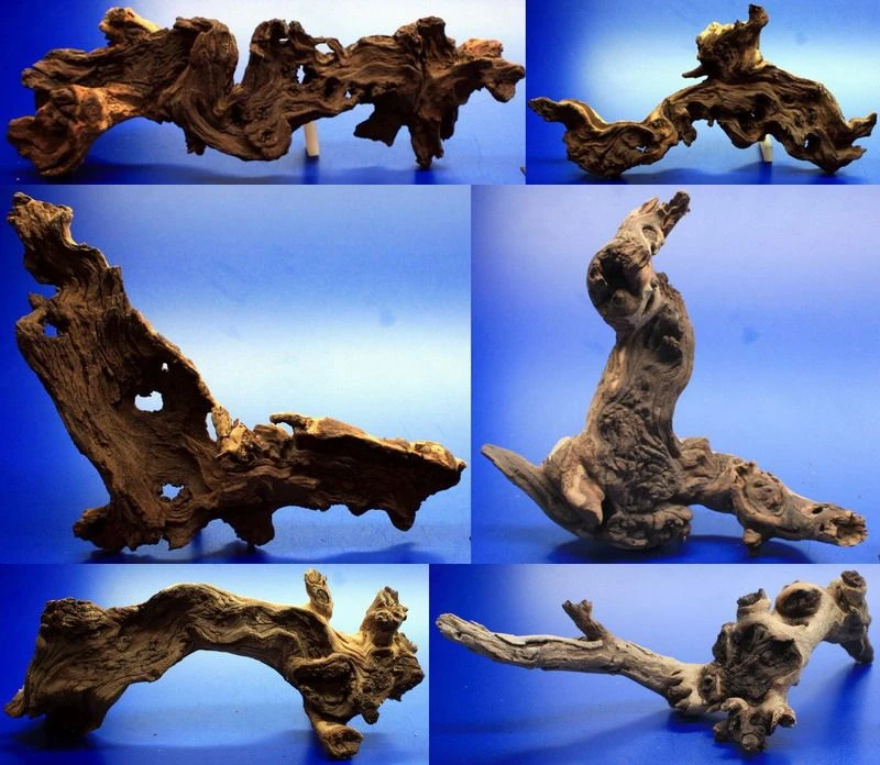 Mopani-Wurzel 20-30 Cm / Eisenholz Zwei-farbig Gr. M