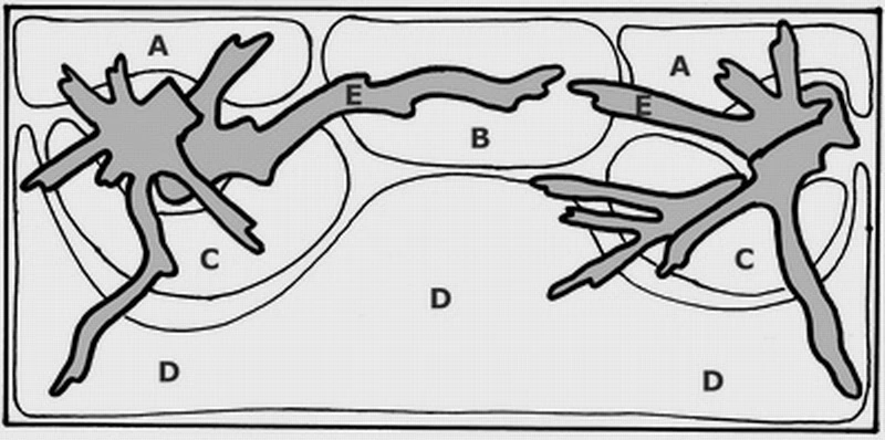 Unterwasser-Landschaft Moosbrücke Für 400 Liter Aquarium – Bild 2