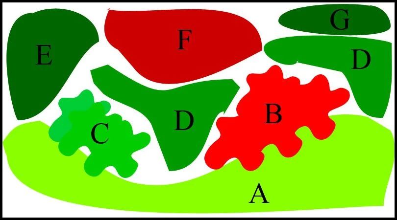 Unterwasser-Landschaft Lotuswelt Für Ein 500 Liter Aquarium – Bild 2