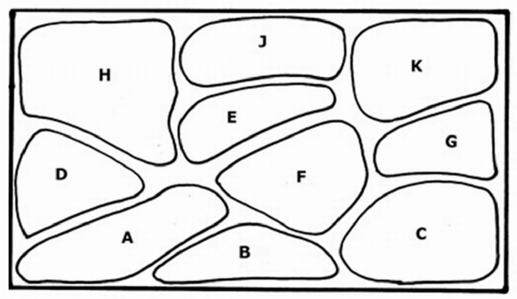 Unterwasser-Landschaft Holland-Aquarium Für Ein 160 Liter Aquarium – Bild 2