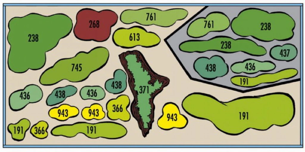 Holland-Aquarium - Pflanzenlandschaft Für Ein 160-200 Liter Aquarium – Bild 2