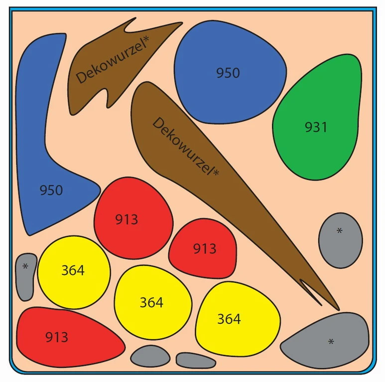 Ludwigia Cube 30 Liter - Pflanzenlandschaft Für Einen 30 Liter Nano Cube – Bild 2
