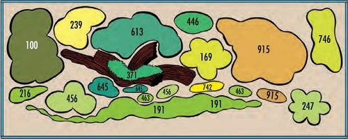 Rotmäulchen-Bucht - Pflanzenlandschaft Für Ein 160-200 Liter Aquarium – Bild 2