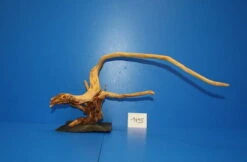 XL Rote Moorwurzel / Moorkienholz 41x22x25 Traumwurzel #1495 Auf Schiefer