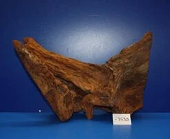 XL Mangroven-Wurzel 46x29x25 Unikat - Traumwurzel #1539