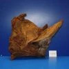XL Mangroven-Wurzel 38x31x15 Unikat - Traumwurzel #1548