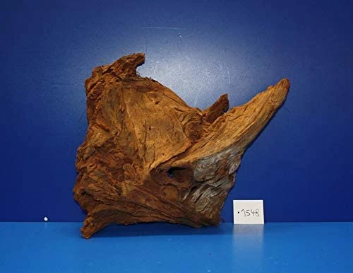 XL Mangroven-Wurzel 38x31x15 Unikat - Traumwurzel #1548