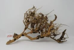 XL Thailand Zweig / Wurzel 39x25x18 Traumwurzel #1580